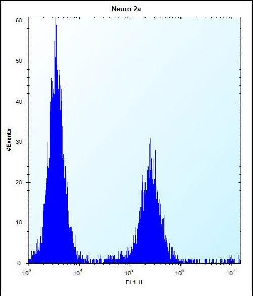 DCBLD2 Antibody flow cytometry of Neuro-2a cells (right histogram) compared to a negative control cell (left histogram). FITC-conjugated donkey-anti-rabbit secondary antibodies were used for the analysis.