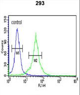 DCD Antibody flow cytometry of 293 cells (right histogram) compared to a negative control cell (left histogram). FITC-conjugated goat-anti-rabbit secondary antibodies were used for the analysis.