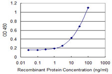 Detection limit for recombinant GST tagged DCK is 0.3 ng/ml as a capture antibody.