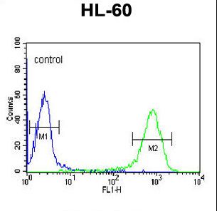 DCP2 Antibody flow cytometry of HL-60 cells (right histogram) compared to a negative control cell (left histogram). FITC-conjugated goat-anti-rabbit secondary antibodies were used for the analysis.