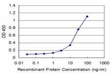 Detection limit for recombinant GST tagged DCPS is approximately 3 ng/ml as a capture antibody.