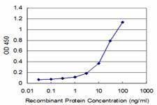 Detection limit for recombinant GST tagged DCPS is approximately 3 ng/ml as a capture antibody.