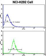 Flow cytometric of NCI-H292 cells using DCXR Antibody (bottom histogram) compared to a negative control cell (top histogram). FITC-conjugated goat-anti-rabbit secondary antibodies were used for the analysis.