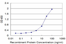 Detection limit for recombinant GST tagged DDB1 is approximately 0.3 ng/ml as a capture antibody.