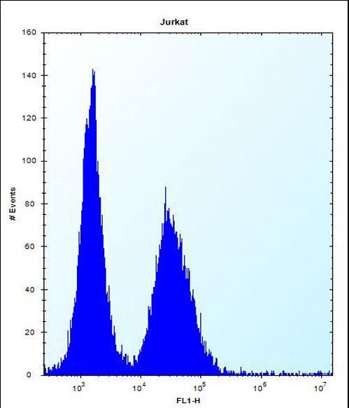 DDIT3 Antibody flow cytometry of Jurkat cells (right histogram) compared to a negative control cell (left histogram). FITC-conjugated donkey-anti-rabbit secondary antibodies were used for the analysis.