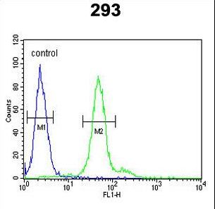 DDX23 Antibody flow cytometry of 293 cells (right histogram) compared to a negative control cell (left histogram). FITC-conjugated goat-anti-rabbit secondary antibodies were used for the analysis.