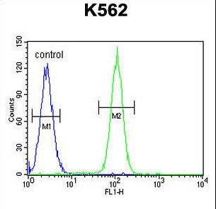 DDX27 Antibody flow cytometry of K562 cells (right histogram) compared to a negative control cell (left histogram). FITC-conjugated goat-anti-rabbit secondary antibodies were used for the analysis.