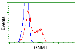HEK293T cells transfected with either pCMV6-ENTRY GNMT (Red) or empty vector control plasmid (Blue) were immunostained with anti-GNMT mouse monoclonal, and then analyzed by flow cytometry.