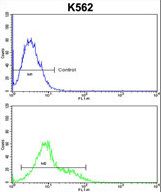 SORCS1 Antibody flow cytometry of k562 cells (bottom histogram) compared to a negative control cell (top histogram). FITC-conjugated goat-anti-rabbit secondary antibodies were used for the analysis.