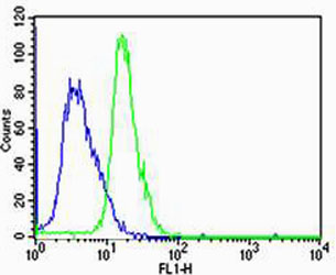 Flow cytometric of Jurkat cells with HTR1A Antibody (green) compared to an isotype control of rabbit IgG (blue). Antibody was diluted at 1:25 dilution. An Alexa Fluor 488 goat anti-rabbit lgG at 1:400 dilution was used as the secondary antibody.