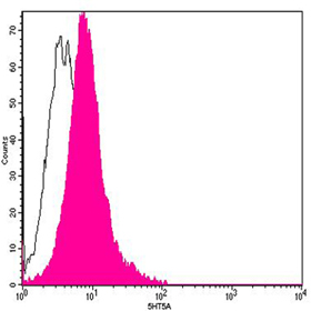 Flow cytometry of Ramos cells using 5HT5A Antibody, pAb, Rabbit (shaded histogram) or with an isotype control antibody (open histogram), followed by R-PE conjugated anti-rabbit IgG.