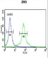 DLG7 Antibody flow cytometry of 293 cells (right histogram) compared to a negative control cell (left histogram). FITC-conjugated goat-anti-rabbit secondary antibodies were used for the analysis.