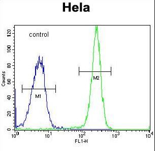 HYAL2 Antibody flow cytometry of HeLa cells (right histogram) compared to a negative control cell (left histogram). FITC-conjugated goat-anti-rabbit secondary antibodies were used for the analysis.