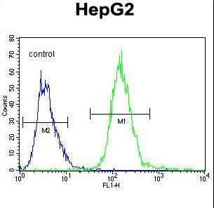 IGHG1 Antibody flow cytometry of HepG2 cells (right histogram) compared to a negative control cell (left histogram). FITC-conjugated goat-anti-rabbit secondary antibodies were used for the analysis.