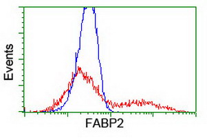 HEK293T cells transfected with either overexpress plasmid (Red) or empty vector control plasmid (Blue) were immunostained by anti-FABP2 antibody, and then analyzed by flow cytometry.