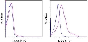 Staining of 3-day unstimulated (left) and 3-day anti-CD3/CD28 stimulated (right) human peripheral blood cells with FITC Mouse IgG1, K Isotype Control (blue histogram) or FITC anti-human ICOS (purple histogram). Cells in the lymphocyte gate were used for analysis.