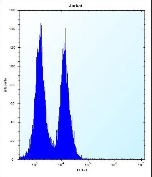 ICOS Antibody flow cytometry of Jurkat cells (right histogram) compared to a negative control cell (left histogram). FITC-conjugated donkey-anti-rabbit secondary antibodies were used for the analysis.