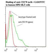 Flow cytometry of ICOS antibody
