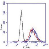 Flow cytometry of PC3 cells with GPR31 antibody. Red: 1:200 dilution, Blue: 1:100 dilution, Black: Negative control.