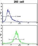 Flow cytometric of 293 cells using IDH1 Antibody (bottom histogram) compared to a negative control cell (top histogram). FITC-conjugated goat-anti-rabbit secondary antibodies were used for the analysis.