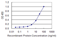 Detection limit for recombinant GST tagged IDH3G is 0.3 ng/ml as a capture antibody.