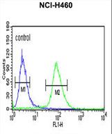 IDH3G Antibody flow cytometry of NCI-H460 cells (right histogram) compared to a negative control cell (left histogram). FITC-conjugated goat-anti-rabbit secondary antibodies were used for the analysis.