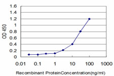 Detection limit for recombinant GST tagged IFI16 is approximately 0.3 ng/ml as a capture antibody.