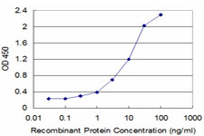 Detection limit for recombinant GST tagged IFNGR2 is approximately 0.3 ng/ml as a capture antibody.