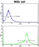 Flow cytometric of widr cells using IGFBP6 Antibody (bottom histogram) compared to a negative control cell (top histogram)FITC-conjugated goat-anti-rabbit secondary antibodies were used for the analysis.