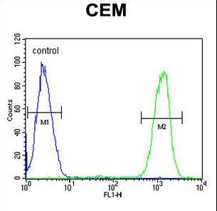 IKZF1 Antibody flow cytometry of CEM cells (right histogram) compared to a negative control cell (left histogram). FITC-conjugated goat-anti-rabbit secondary antibodies were used for the analysis.