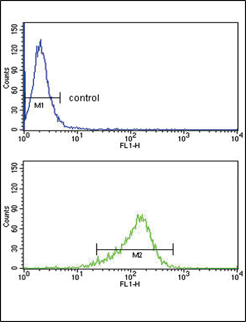 IL12A Antibody flow cytometry of MDA-MB231 cells (bottom histogram) compared to a negative control cell (top histogram). FITC-conjugated goat-anti-rabbit secondary antibodies were used for the analysis.