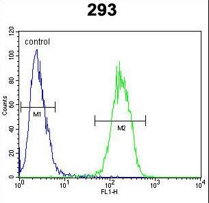 IL17F Antibody flow cytometry of 293 cells (right histogram) compared to a negative control cell (left histogram). FITC-conjugated goat-anti-rabbit secondary antibodies were used for the analysis.