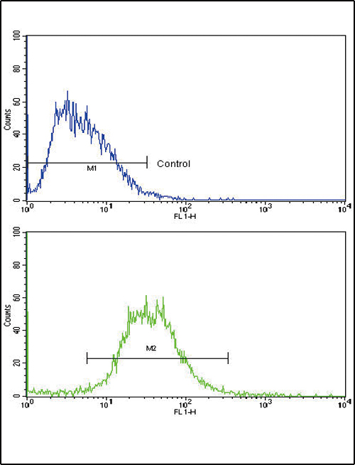 Flow cytometric of HepG2 cells using IL17RB Antibody (bottom histogram) compared to a negative control cell (top histogram). FITC-conjugated goat-anti-rabbit secondary antibodies were used for the analysis.