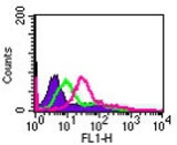 Cell-surface flow cytometry analysis of IL-24 in Jurkat cells using antibody at 5 ug/10^6 cells. The shaded histogram represents cells only, green represents isotype control, and purple represents anti-IL-24 antibody.
