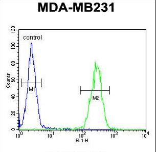 IL1F6 Antibody flow cytometry of MDA-MB231 cells (right histogram) compared to a negative control cell (left histogram). FITC-conjugated goat-anti-rabbit secondary antibodies were used for the analysis.