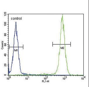 IL4 Antibody flow cytometry of WiDr cells (right histogram) compared to a negative control cell (left histogram). FITC-conjugated goat-anti-rabbit secondary antibodies were used for the analysis.