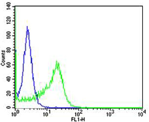 Flow cytometric of Ramos cells with IL4R Antibody (green) compared to an isotype control of rabbit IgG (blue). Antibody was diluted at 1:25 dilution. An Alexa Fluor 488 goat anti-rabbit lgG at 1:400 dilution was used as the secondary antibody.
