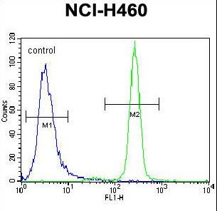 IL6 Antibody flow cytometry of NCI-H460 cells (right histogram) compared to a negative control cell (left histogram). FITC-conjugated goat-anti-rabbit secondary antibodies were used for the analysis.