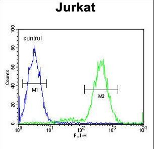 IMP2L Antibody flow cytometry of Jurkat cells (right histogram) compared to a negative control cell (left histogram). FITC-conjugated goat-anti-rabbit secondary antibodies were used for the analysis.