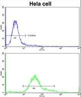 Flow cytometric of HeLa cells using IMMT Antibody (bottom histogram) compared to a negative control cell (top histogram)FITC-conjugated goat-anti-rabbit secondary antibodies were used for the analysis.