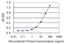 Detection limit for recombinant GST tagged INPP1 is 0.3 ng/ml as a capture antibody.