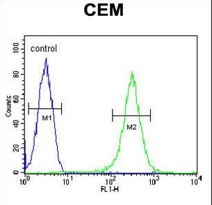 INPP5B Antibody flow cytometry of CEM cells (right histogram) compared to a negative control cell (left histogram). FITC-conjugated goat-anti-rabbit secondary antibodies were used for the analysis.