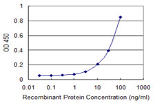 Detection limit for recombinant GST tagged GPR84 is 1 ng/ml as a capture antibody.