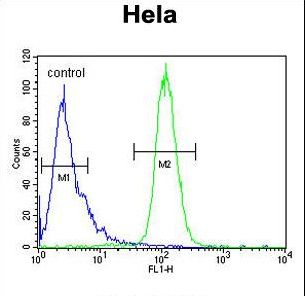 INT10 Antibody flow cytometry of HeLa cells (right histogram) compared to a negative control cell (left histogram). FITC-conjugated goat-anti-rabbit secondary antibodies were used for the analysis.