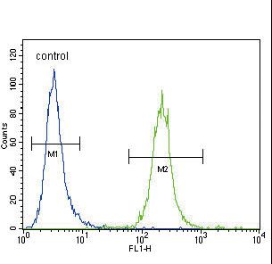 IREB2 Antibody flow cytometry of HeLa cells (right histogram) compared to a negative control cell (left histogram). FITC-conjugated goat-anti-rabbit secondary antibodies were used for the analysis.