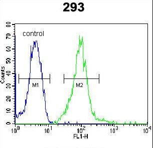 I2BP2 Antibody flow cytometry of 293 cells (right histogram) compared to a negative control cell (left histogram). FITC-conjugated goat-anti-rabbit secondary antibodies were used for the analysis.