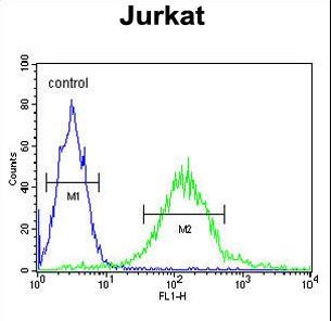 GPRASP1 Antibody flow cytometry of Jurkat cells (right histogram) compared to a negative control cell (left histogram). FITC-conjugated goat-anti-rabbit secondary antibodies were used for the analysis.
