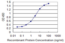 Detection limit for recombinant GST tagged IARS is 0.1 ng/ml as a capture antibody.
