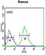 FCRL4 Antibody flow cytometry of Ramos cells (right histogram) compared to a negative control cell (left histogram). FITC-conjugated goat-anti-rabbit secondary antibodies were used for the analysis.