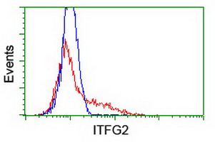 HEK293T cells transfected with either overexpress plasmid (Red) or empty vector control plasmid (Blue) were immunostained by anti-ITFG2 antibody, and then analyzed by flow cytometry.